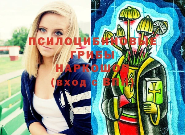 mdma Богородицк