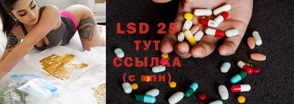 гашик Богданович