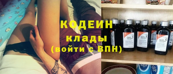 гашик Богданович