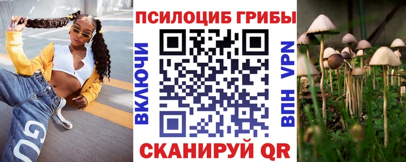 Галлюциногенные грибы GOLDEN TEACHER  купить наркотики цена  Мирный 